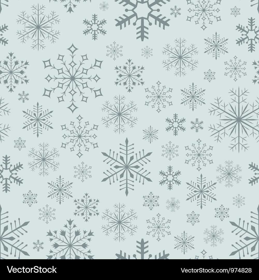 Winter Snowflake Pattern vector image