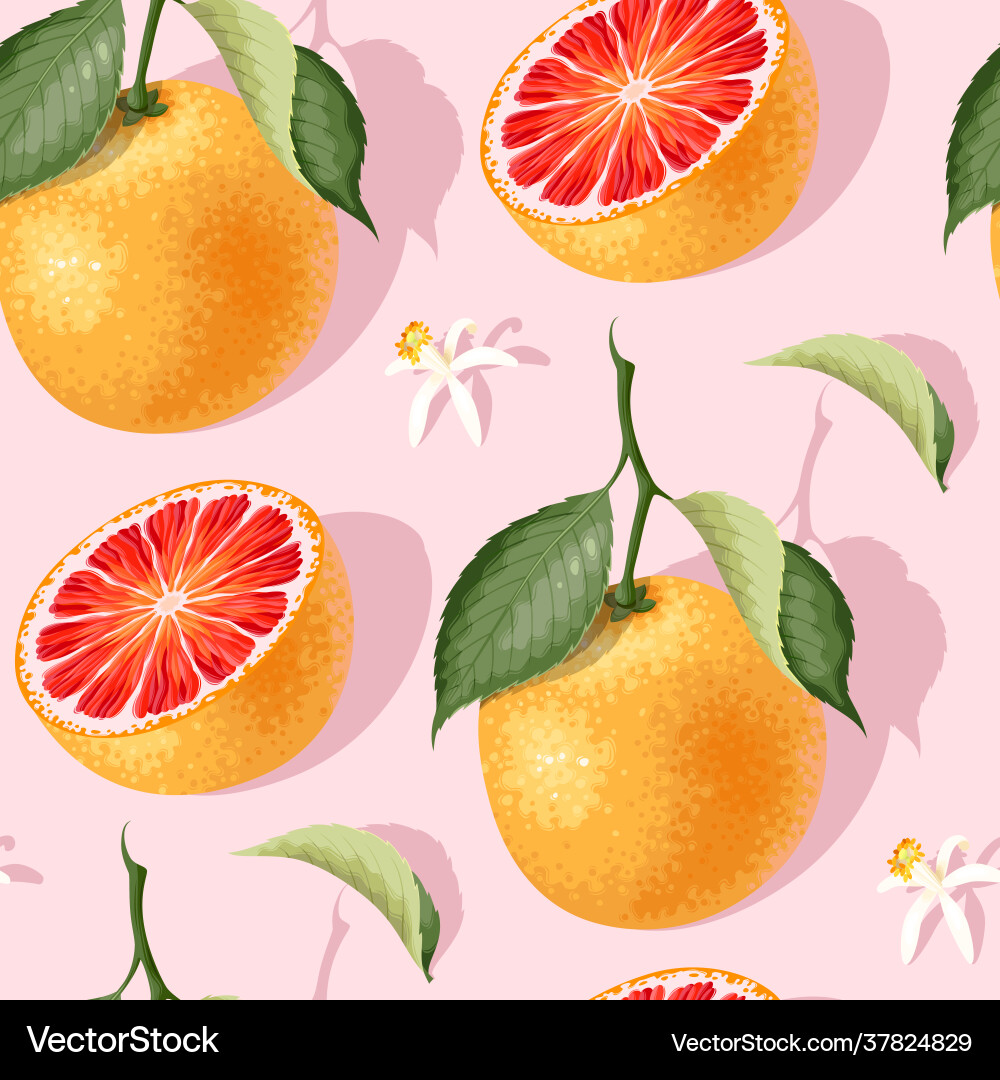 Grapefruit Slice & Leaf Pattern vector image