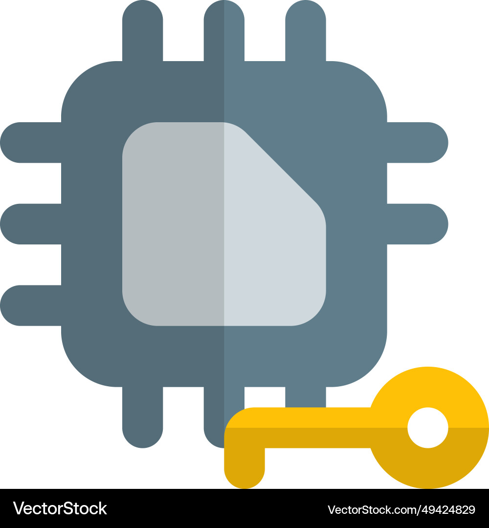 Microchip with lock feature for encryption Vector Image