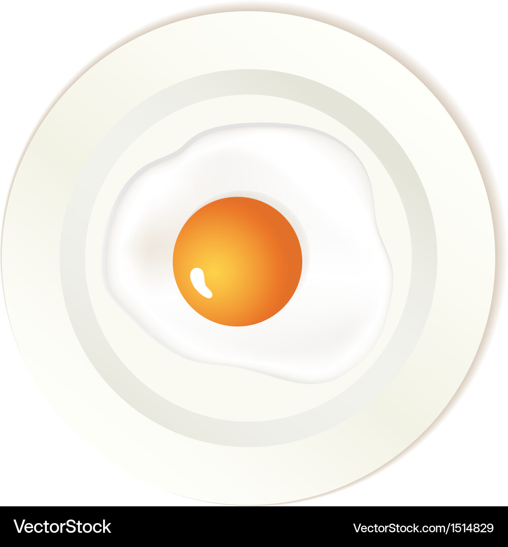 Scrambled egg on plate Royalty Free Vector Image