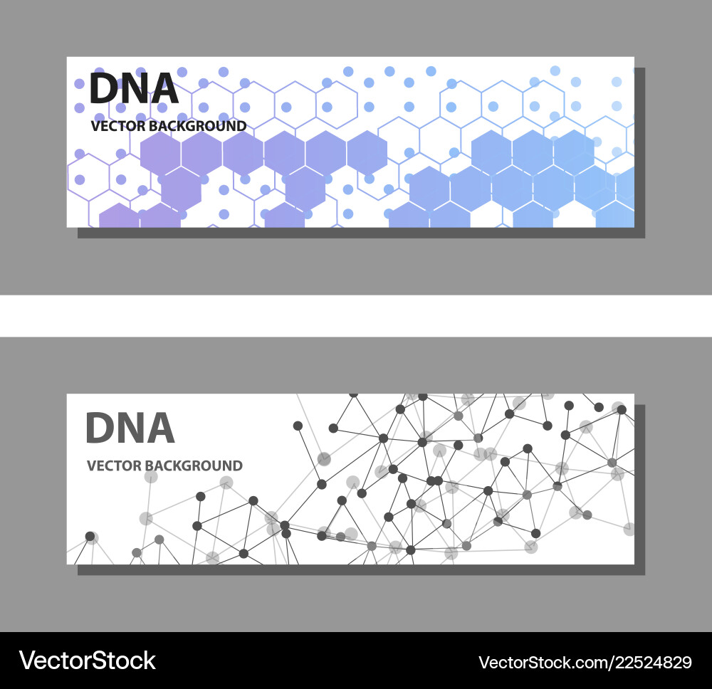 Set of 9 templates for presentation slides vector image