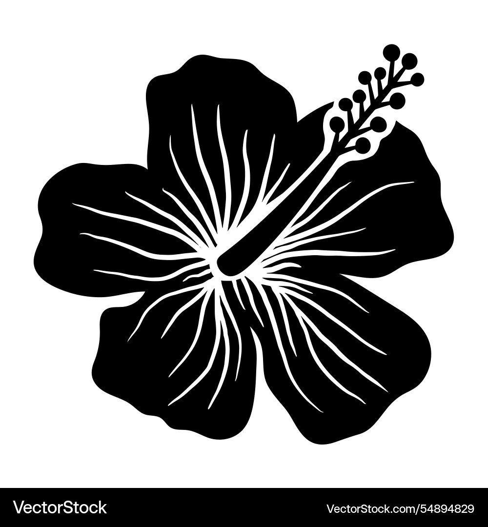 Simple hibiscus tropical flower black and white Simple hibiscus tropical flower black and white vector image