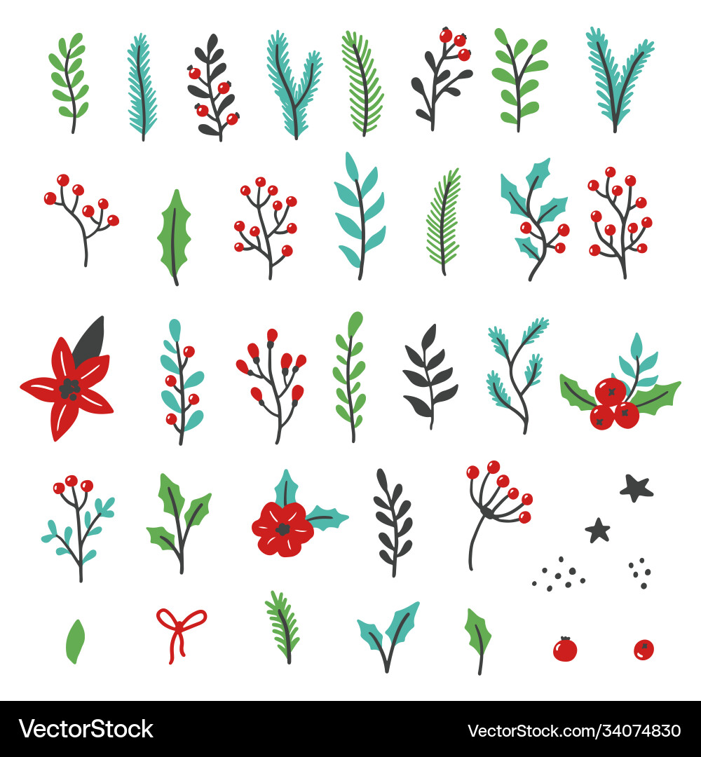 Set christmas floral elements Set christmas floral elements vector image
