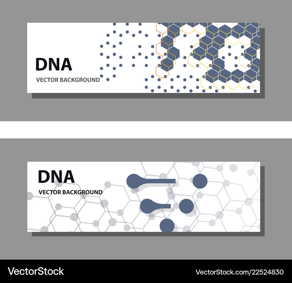 Set of 9 templates for presentation slides Vector Image