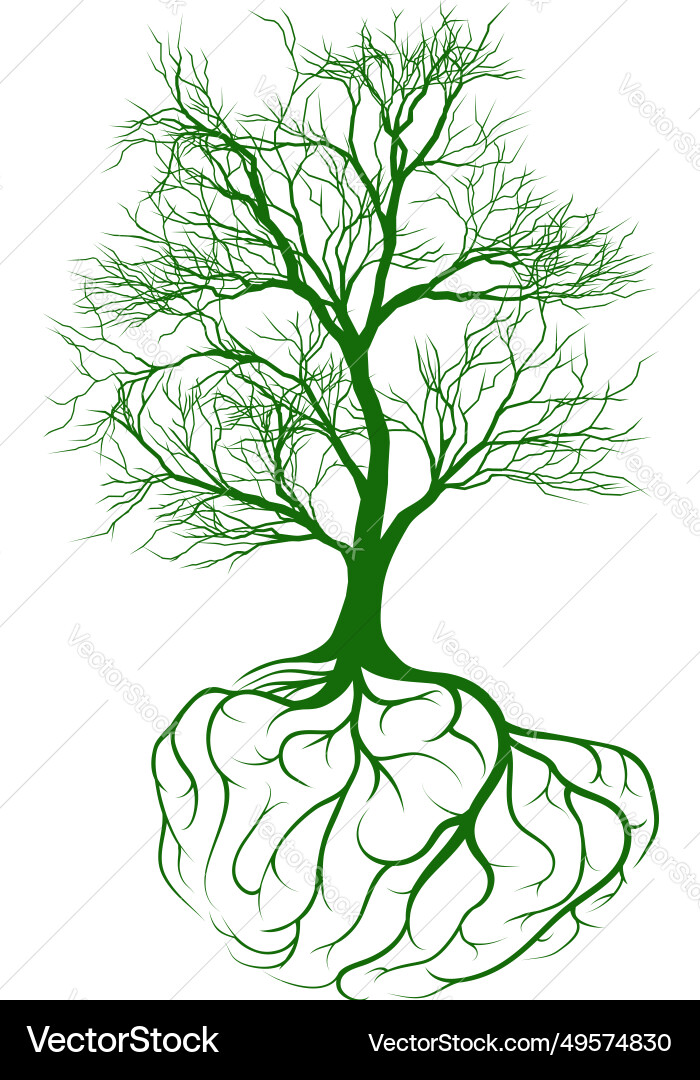 Tree with brain roots Tree with brain roots vector image