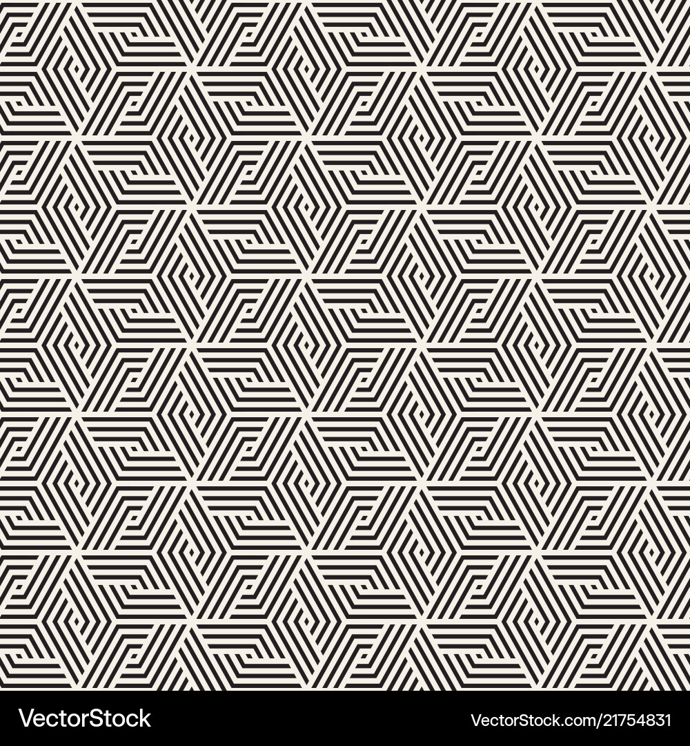 Modern Geometric Line Pattern vector image