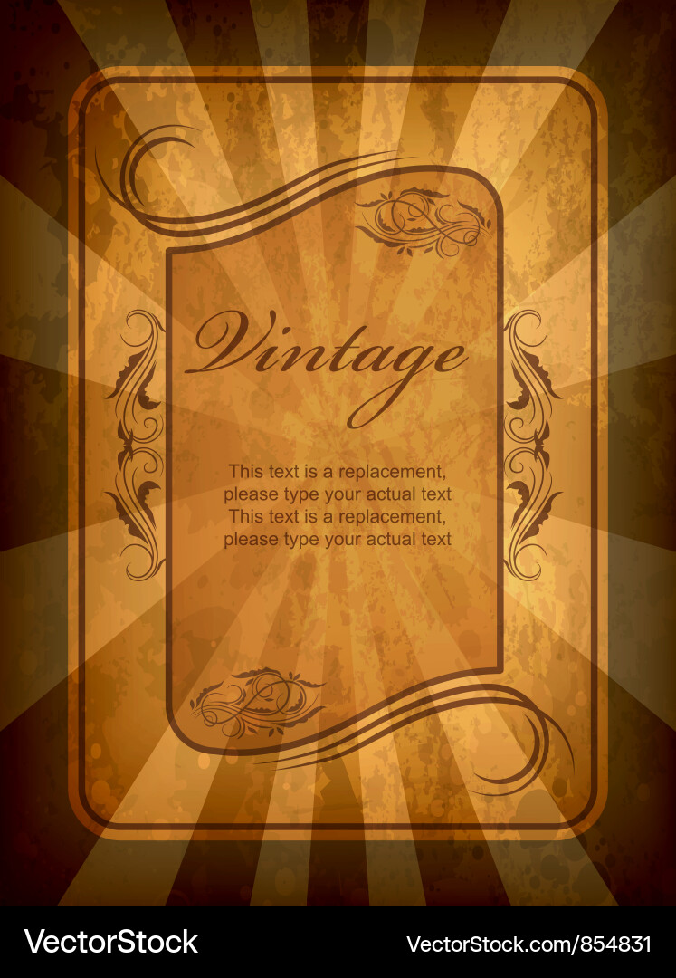 Rustic Label with Rays vector image