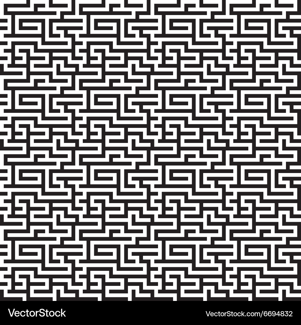 Intricate Maze Pattern vector image