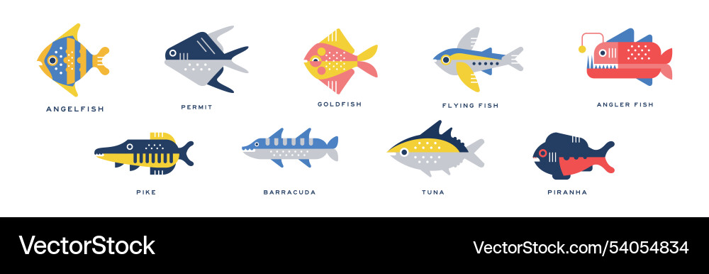 Different fish flat icon with name set Vector Image