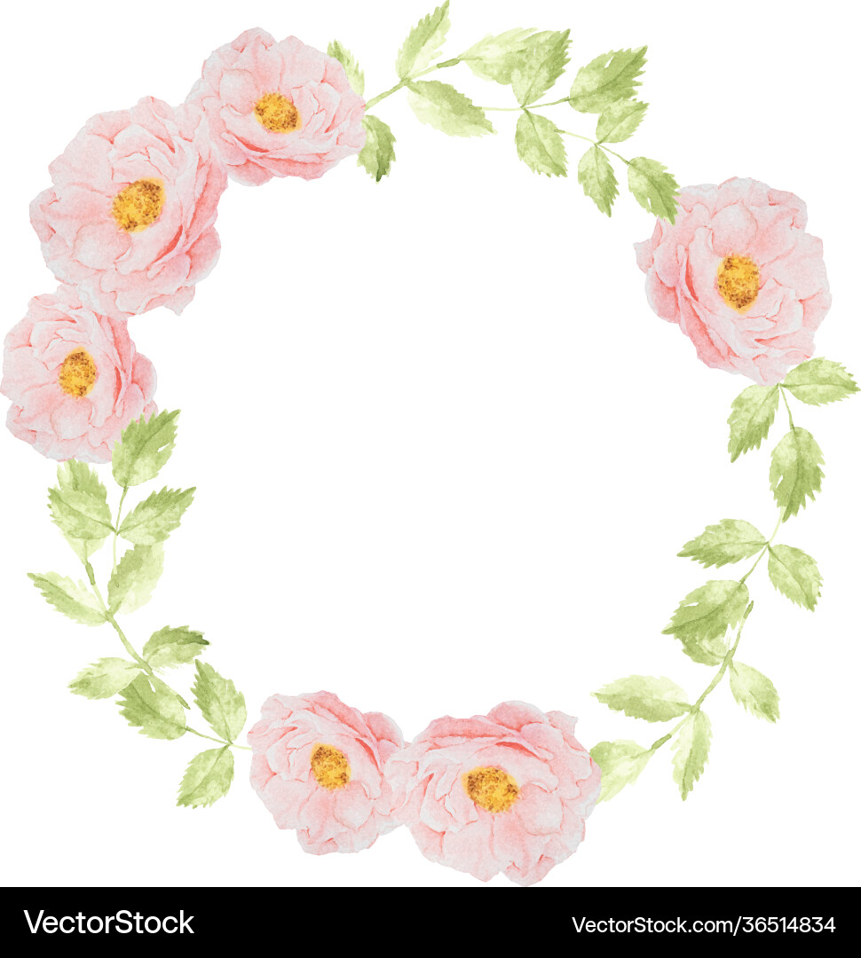 Watercolor Pink Rose Wreath vector image