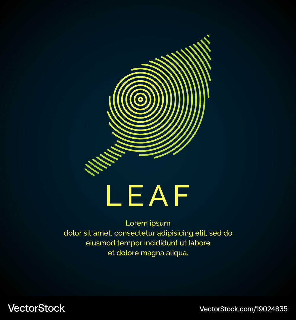 Leaf in a linear style Vector Image