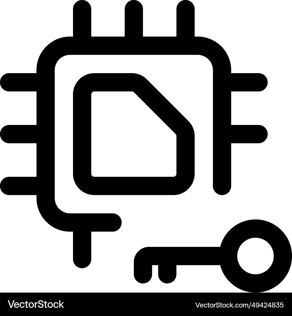 Microchip with lock feature for encryption vector image