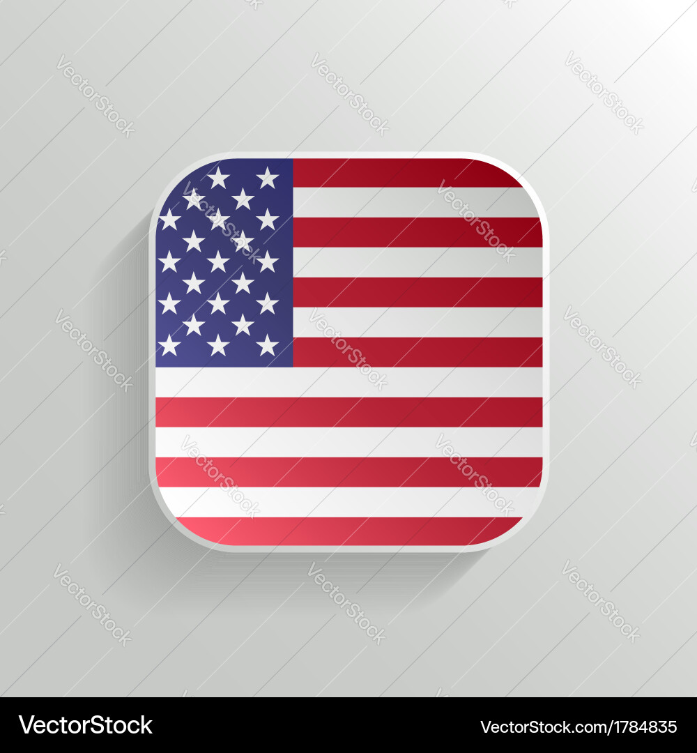United States Flag Icon vector image