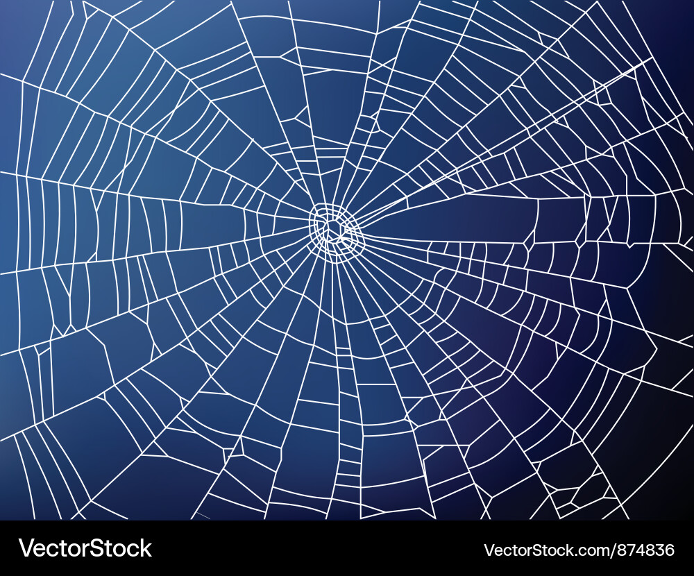 Intricate Spider Web Vector Image