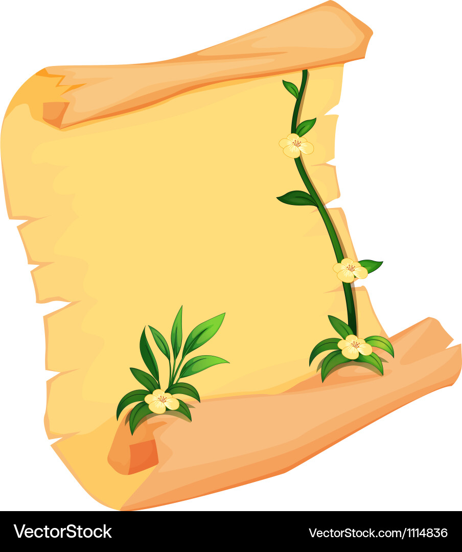 Map scroll vector image