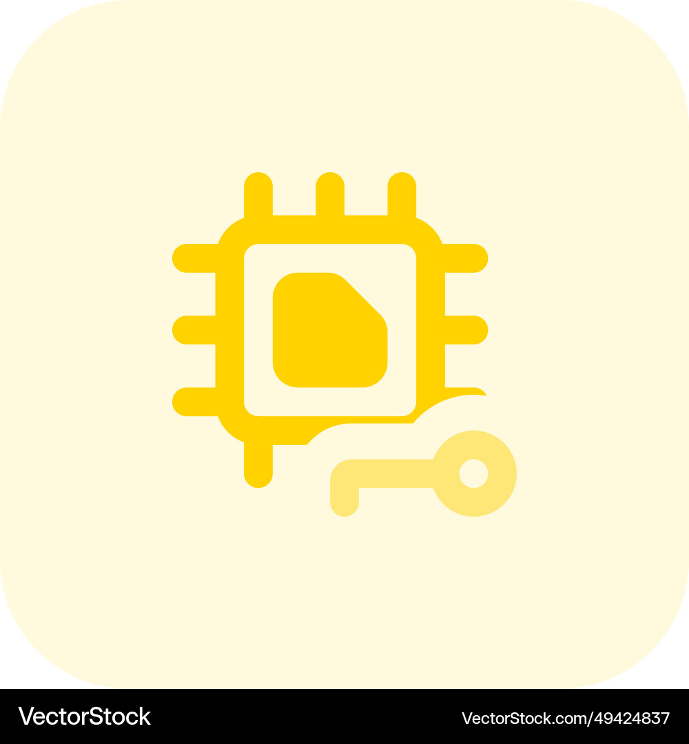 Microchip with lock feature for encryption vector image