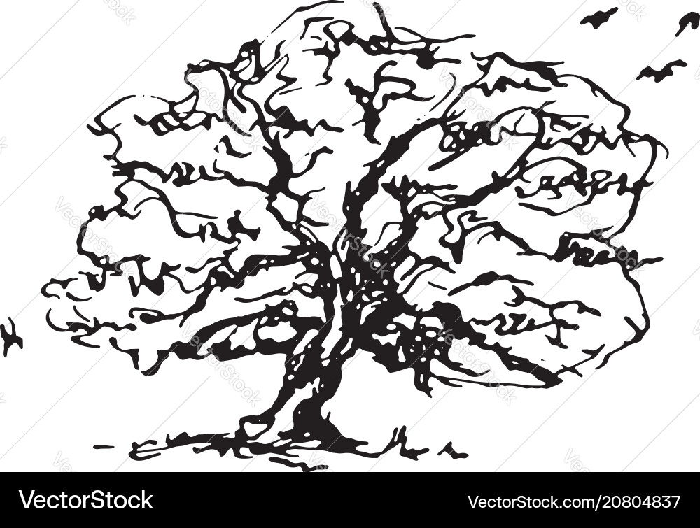 Tree ink Vector Image