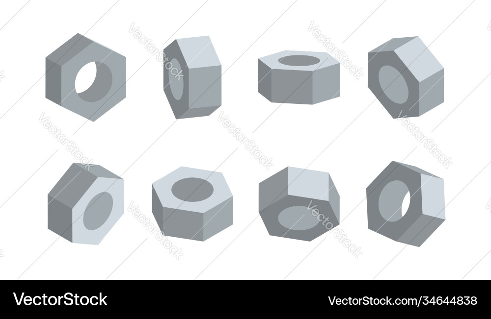 3D Nut Collection - Various Angles vector image