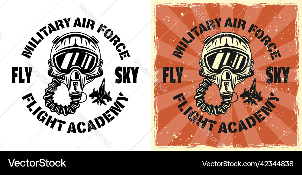 American flight academy emblem badge vector image