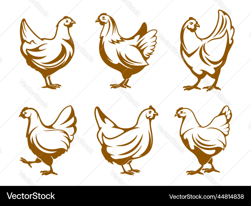 Hen icons chicken farm and poultry meat symbols vector image