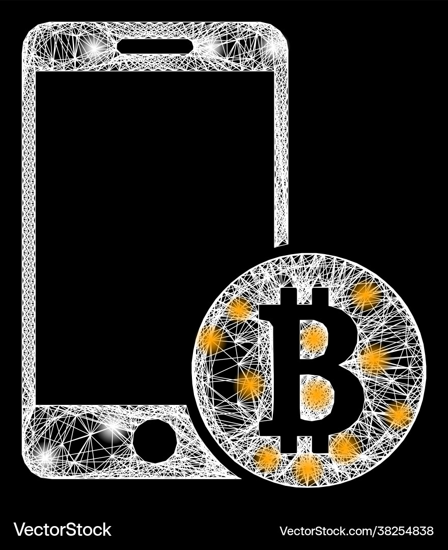 Network mobile bitcoin payment web mesh Network mobile bitcoin payment web mesh vector image