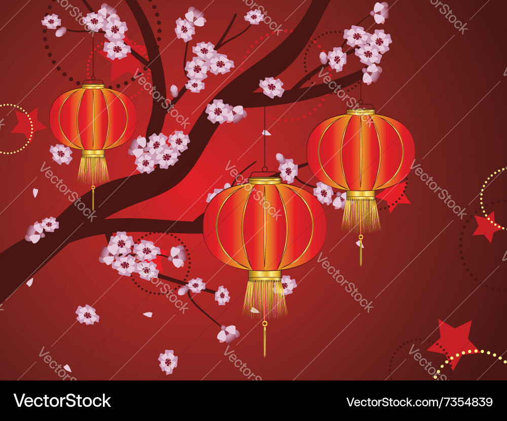 Chinese lantern with sakura branch7 Vector Image