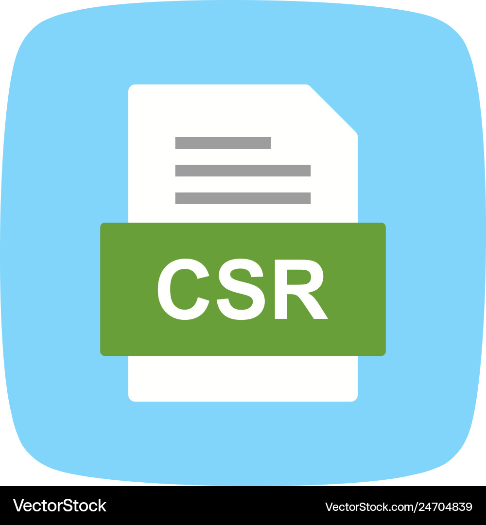 Csr file document icon vector image