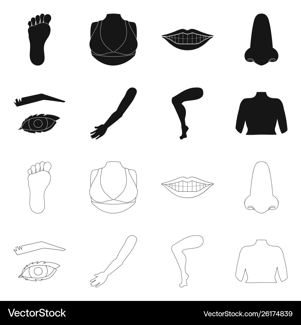 Isolated object body and part sign collection vector image