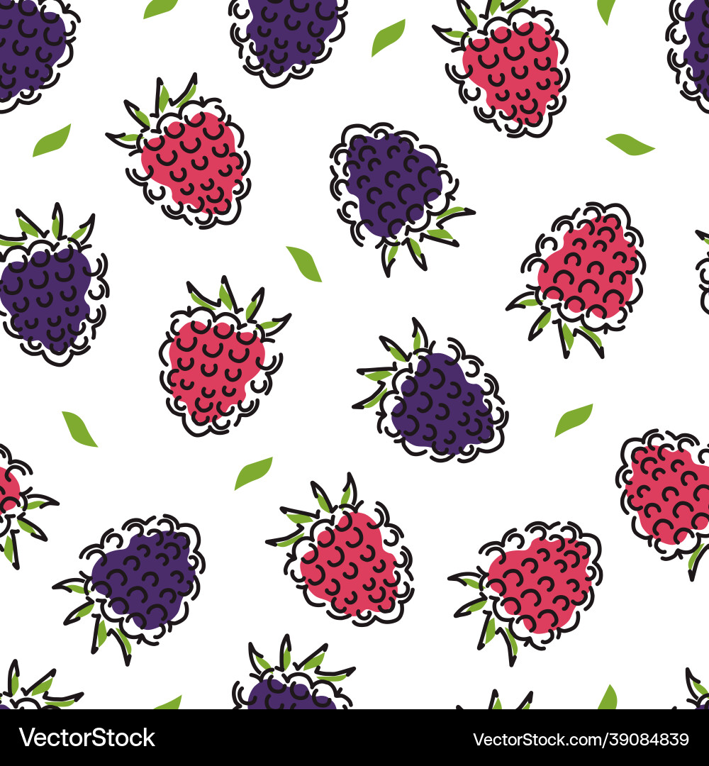 Raspberry and blackberry seamless pattern berries Raspberry and blackberry seamless pattern berries Vector Image