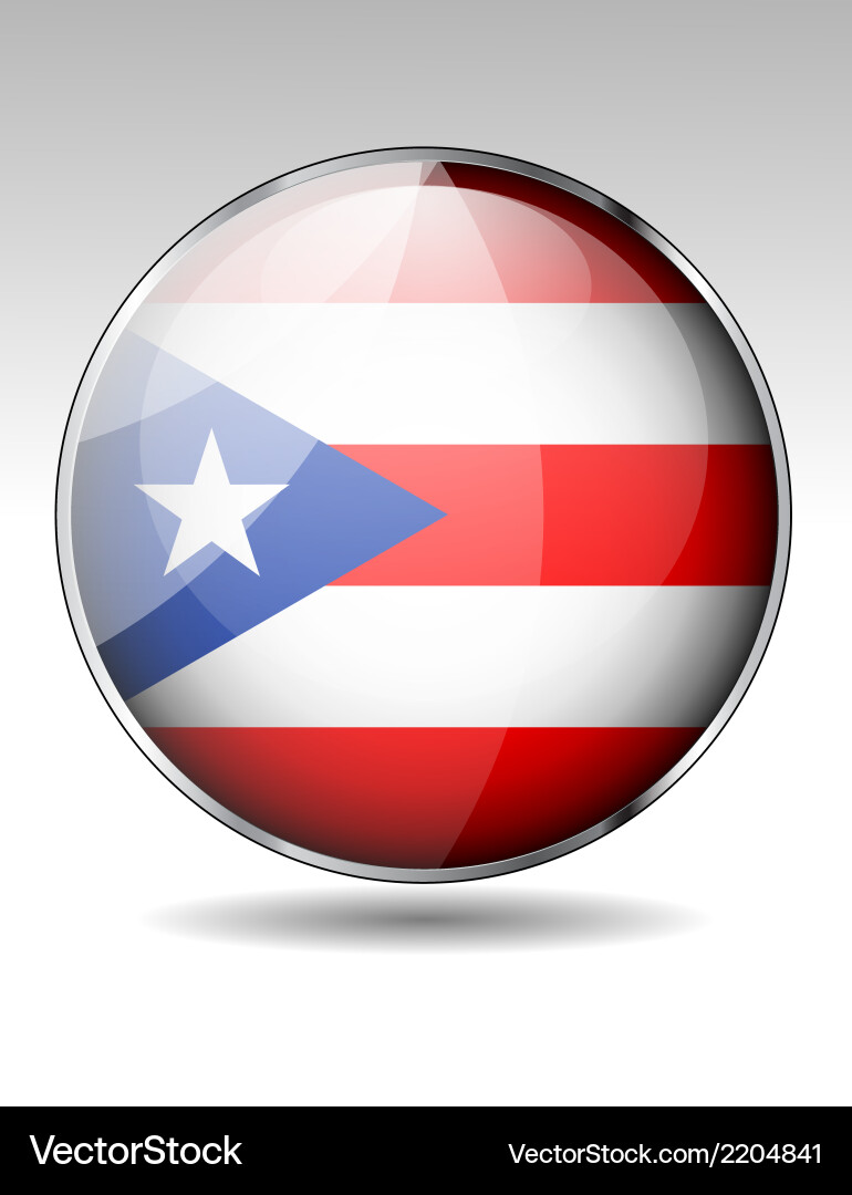 Flag button design elements vector image