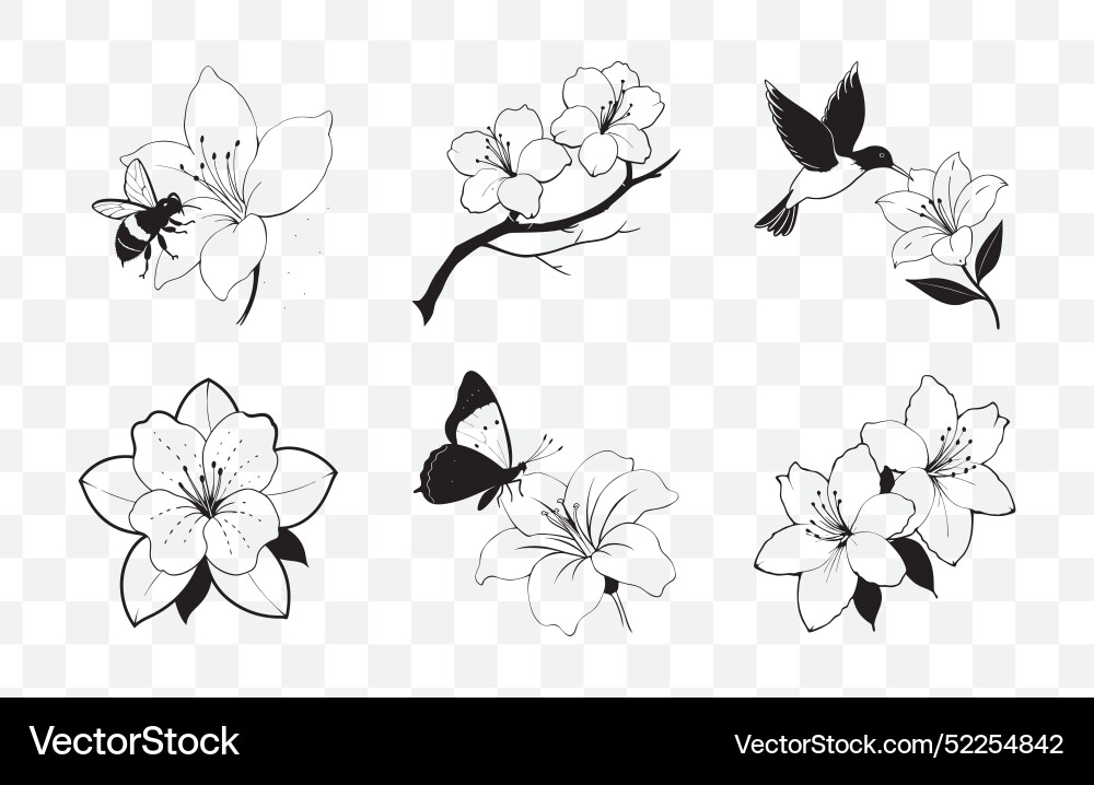 Print comprehensive azalea line art set Print comprehensive azalea line art set Vector Image
