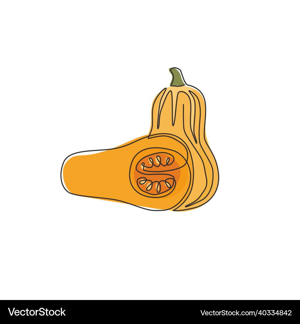Single continuous line drawing of whole Vector Image