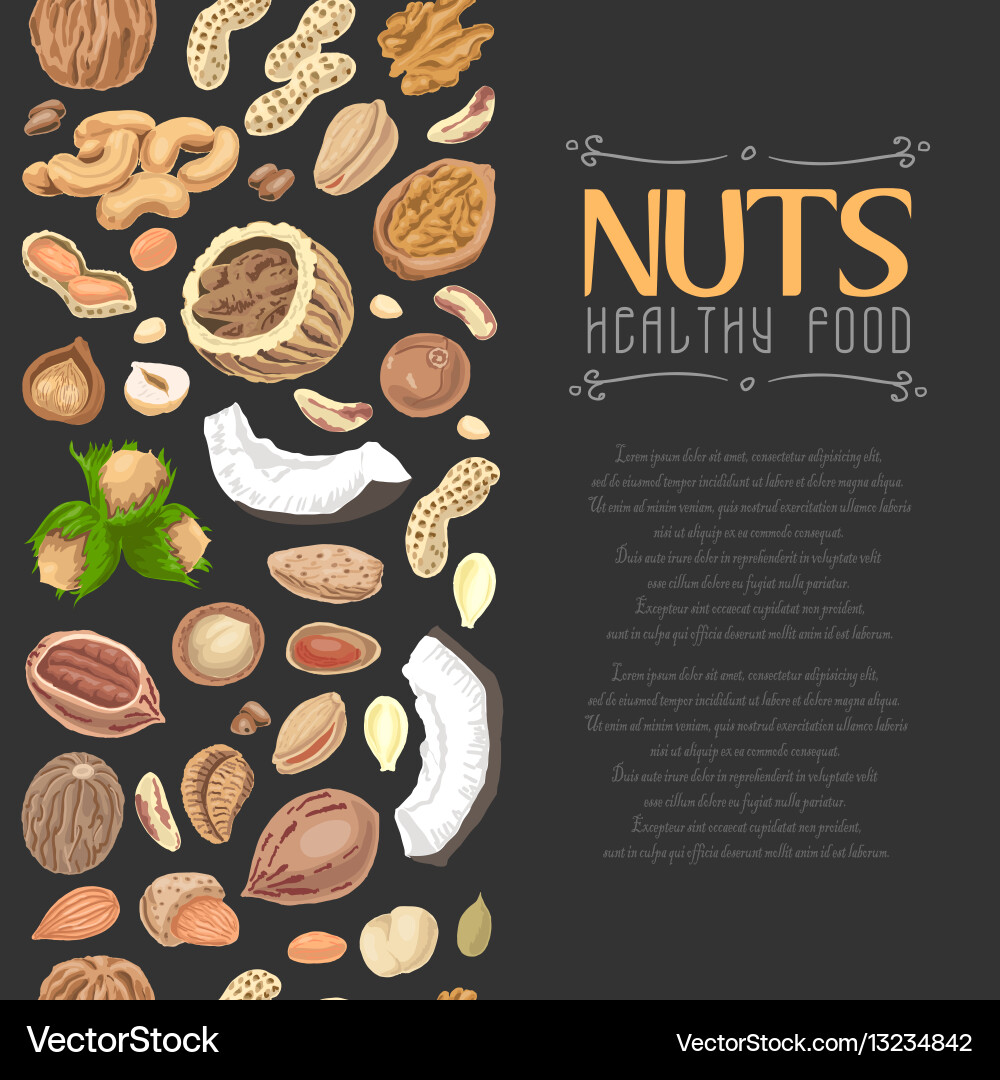 Vertical seamless background with colored nuts Vector Image