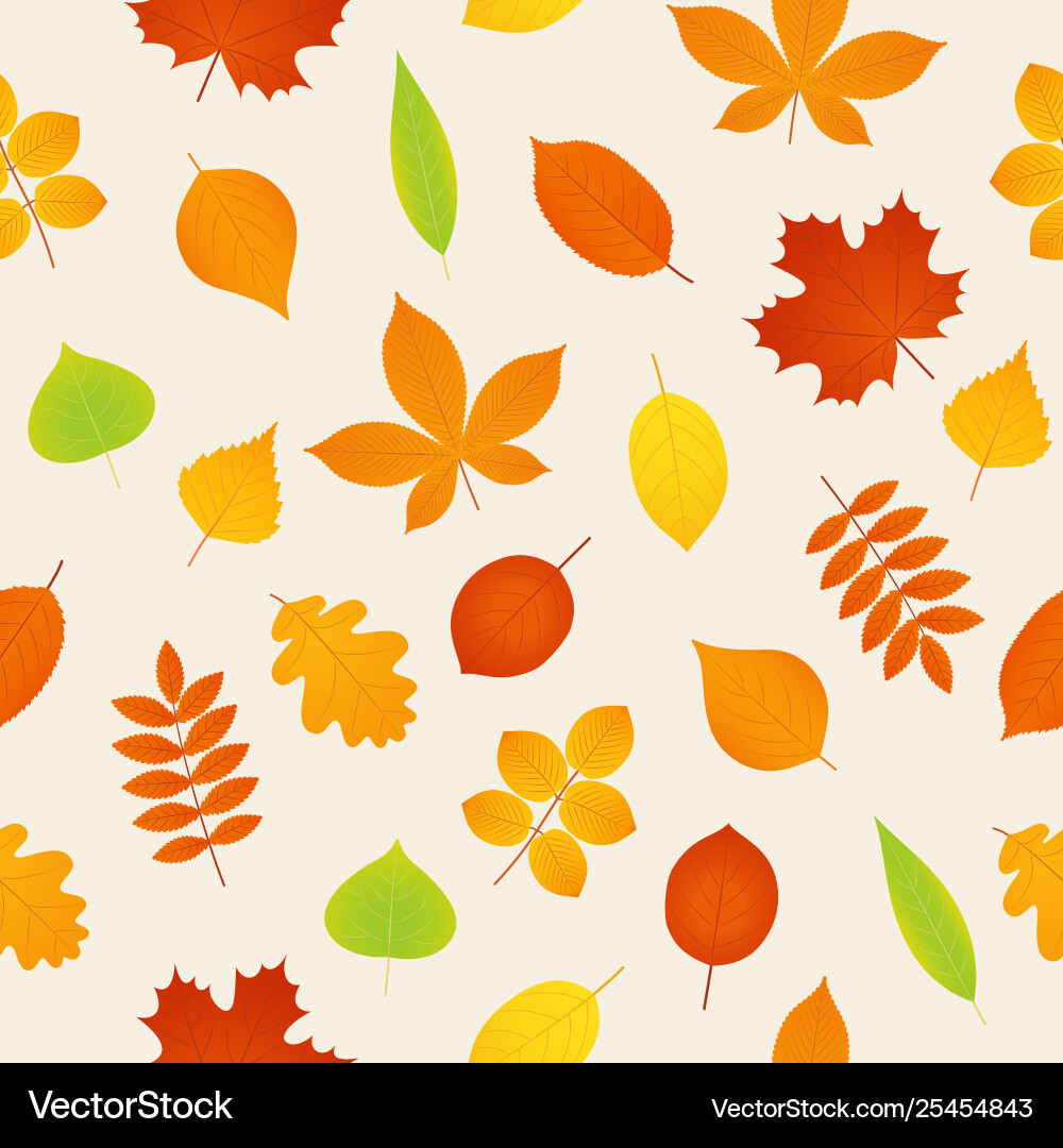 Autumn seamless pattern background with fall vector image