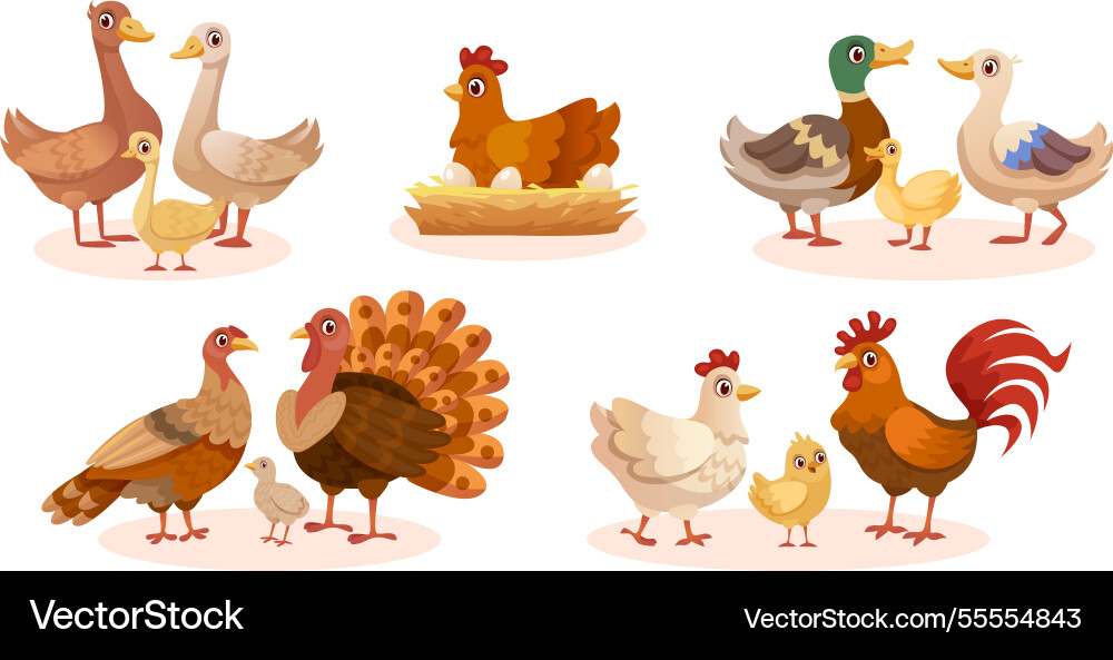 Bauernhof Vögel Cartoon Geflügel Tiere Hühner Hühner Bauernhof Vögel Cartoon Geflügel Tiere Hühner Hühner vektorbild