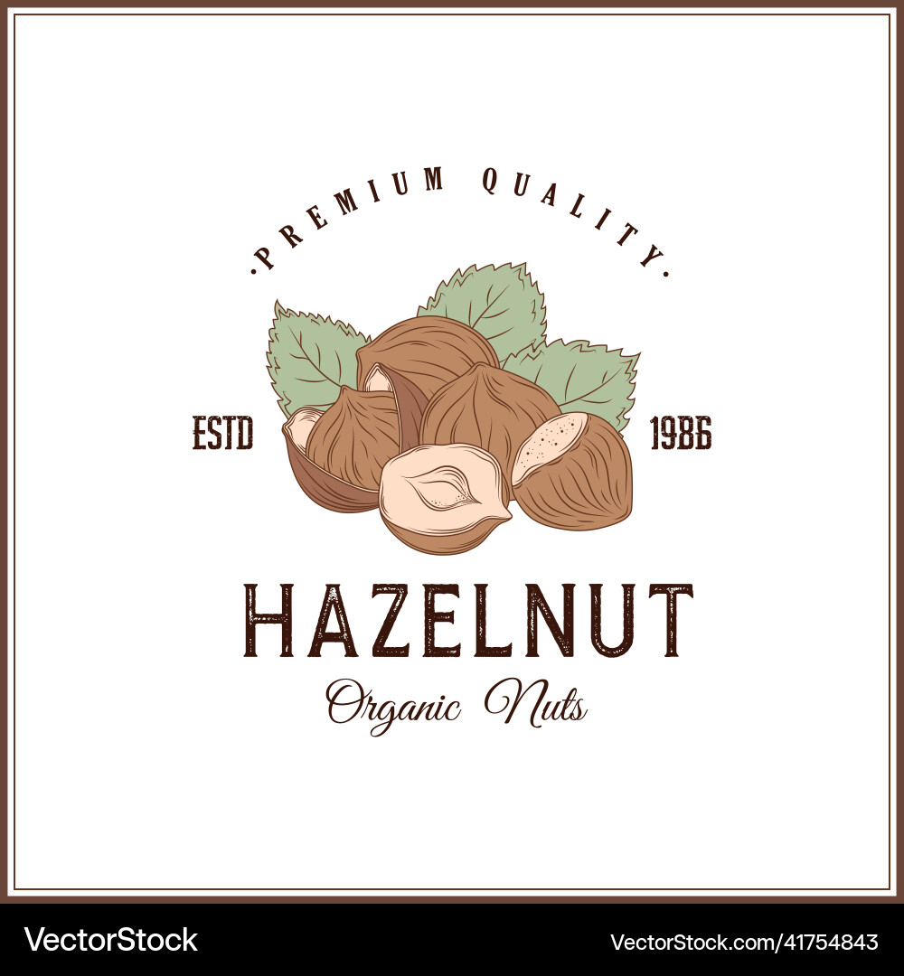 Hand drawn hazelnut for template label Vector Image
