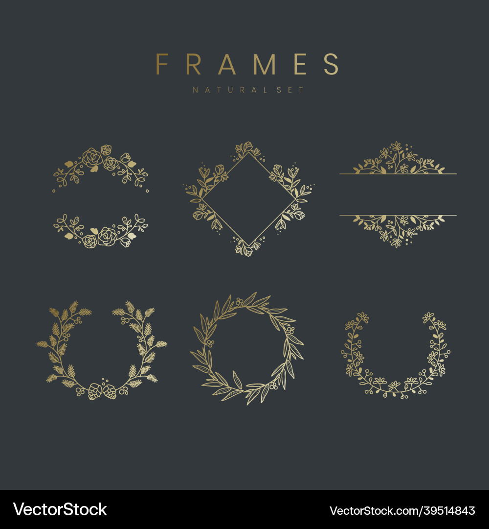 Set of botanical frame design elements vector image