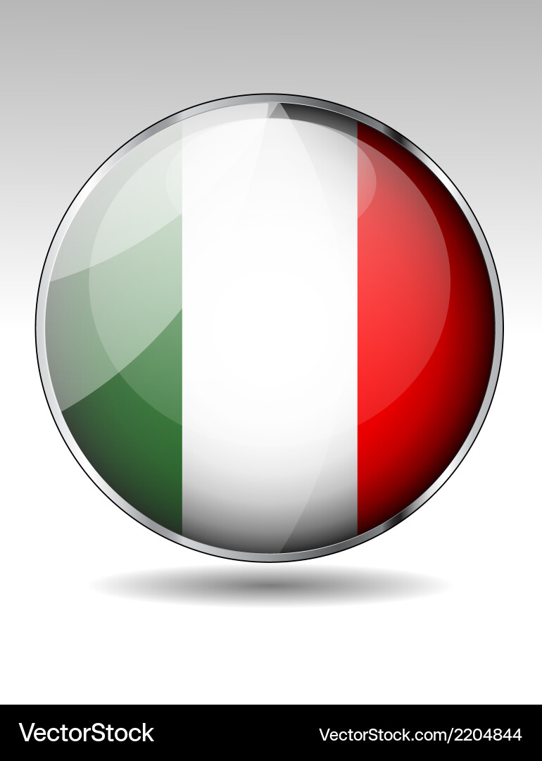 Flag button design elements Vector Image