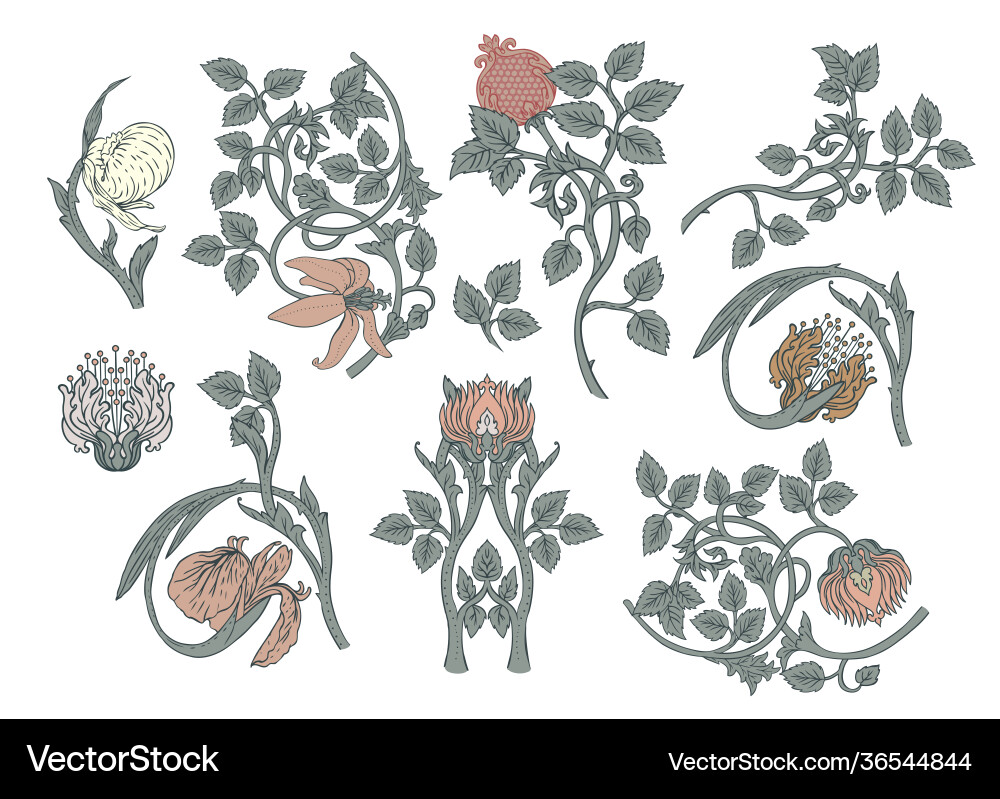 Floral vintage elements enchanted flowers Floral vintage elements enchanted flowers vector image
