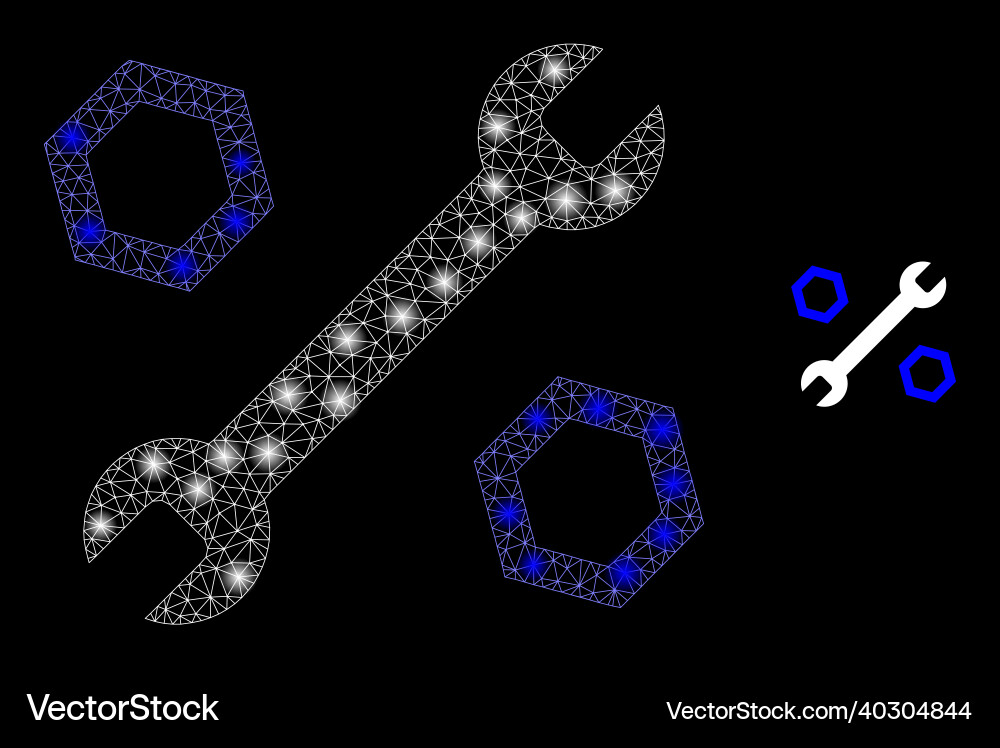 Mesh net wrench and nuts with shiny network Mesh net wrench and nuts with shiny network vector image