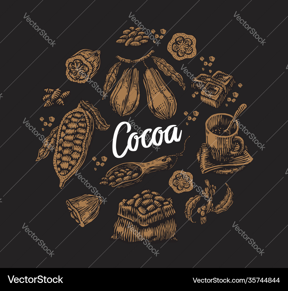 Set cocoa elements Set cocoa elements vector image