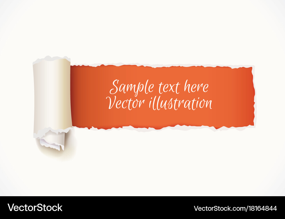 Torn paper with space for text Vector Image