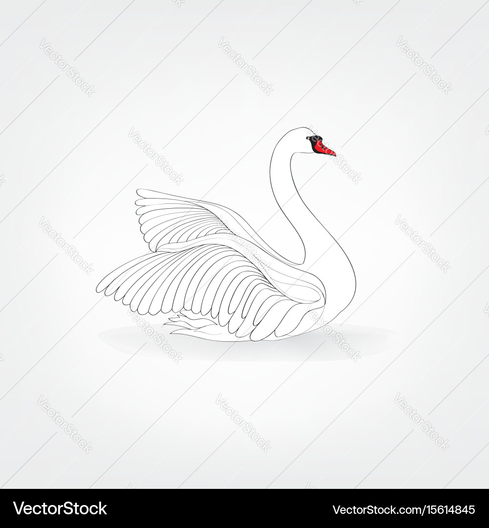 Elegante weiße Schwan Illustration Vektorbild