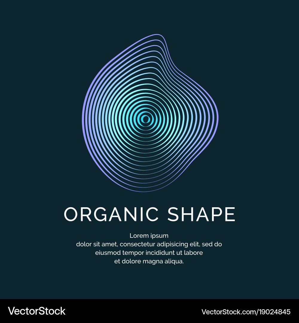 Organic forms with dynamic waves and lines vector image