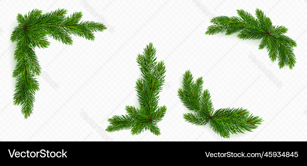 Pine tree branch border green fir twigs frame Pine tree branch border green fir twigs frame vector image
