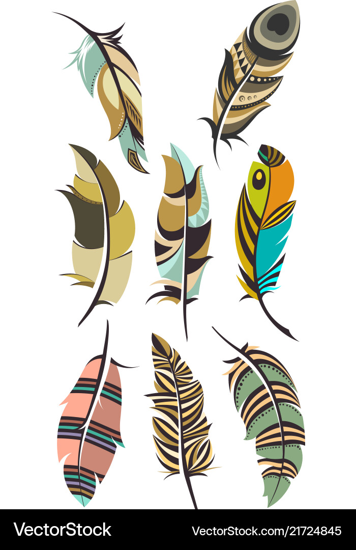 Set of multicolored feathers isolated Set of multicolored feathers isolated vector image