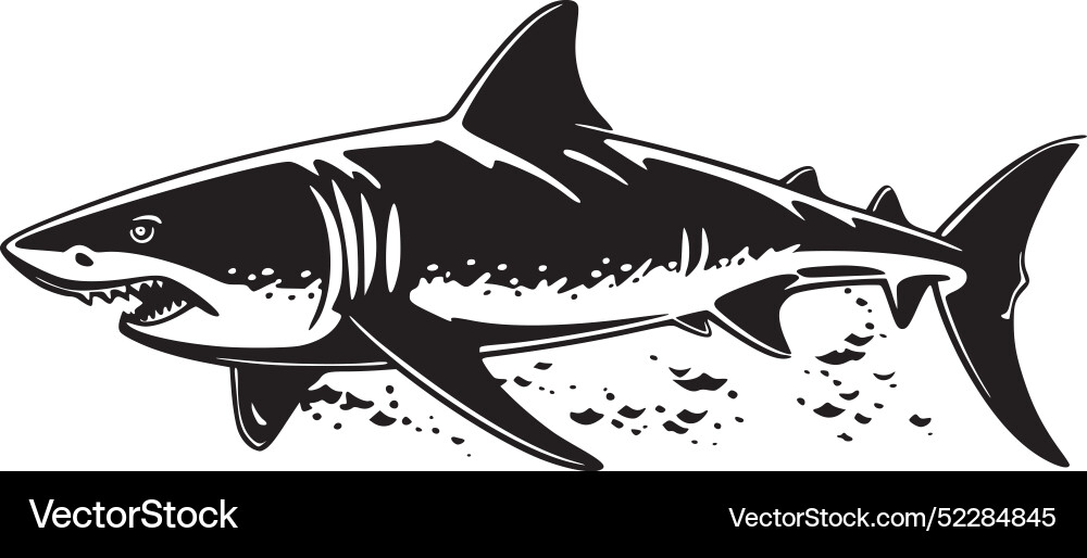 Shark - hochwertiges Logo ideal für T-Shirt Shark - hochwertiges Logo ideal für T-Shirt vektorbild
