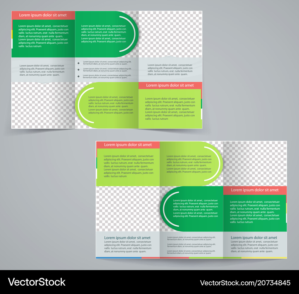 Tri-fold business brochure template Tri-fold business brochure template vector image