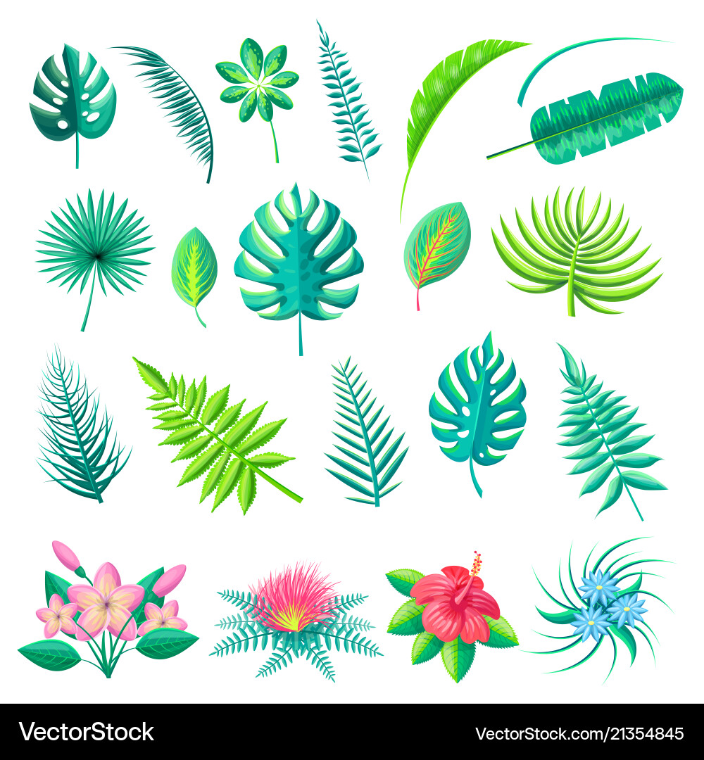 Tropische Blätter und Blumen Tropische Blätter und Blumen vektorbild