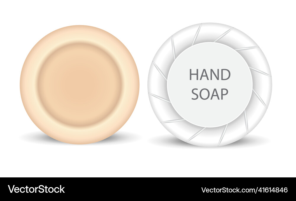 Realistic soap bars different color and shape Realistic soap bars different color and shape Vector Image